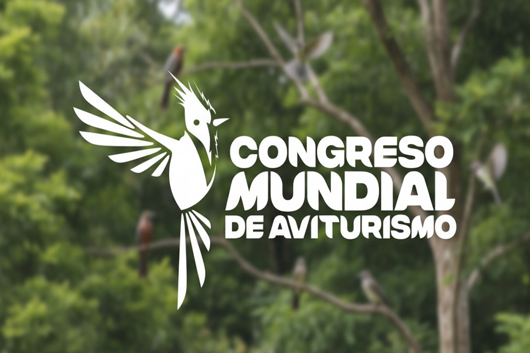 noticia-img