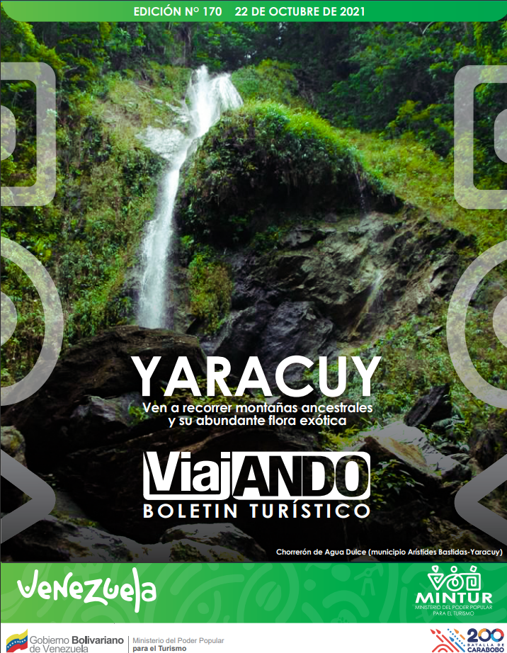 imagen-viajando