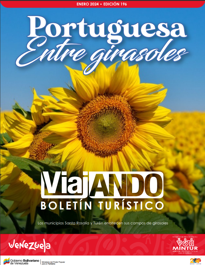 imagen-viajando