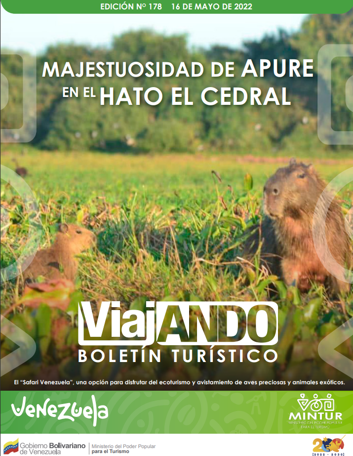 imagen-viajando