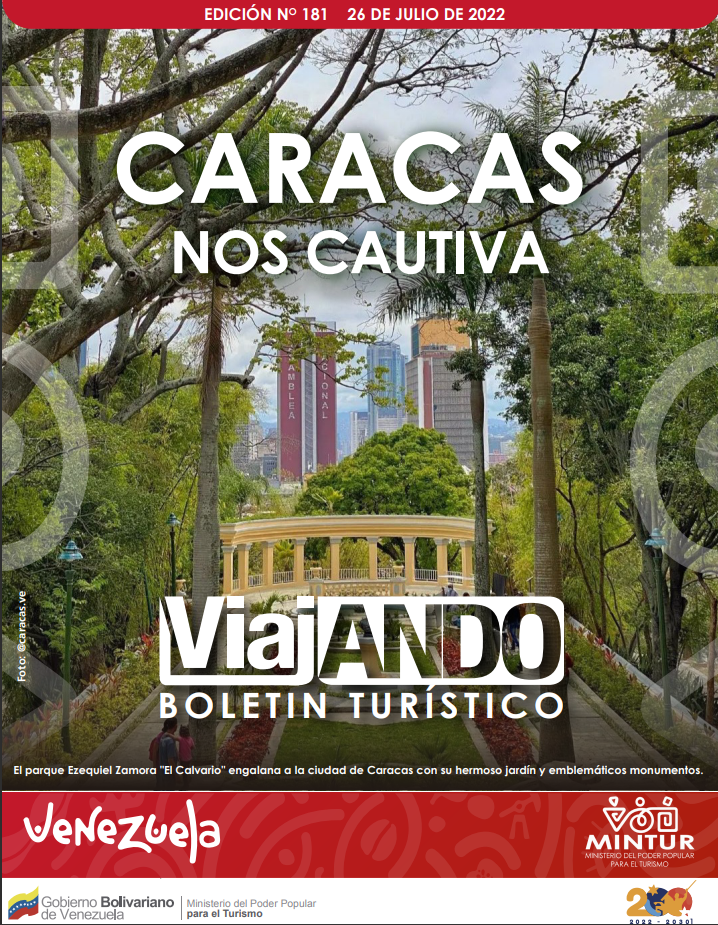 imagen-viajando
